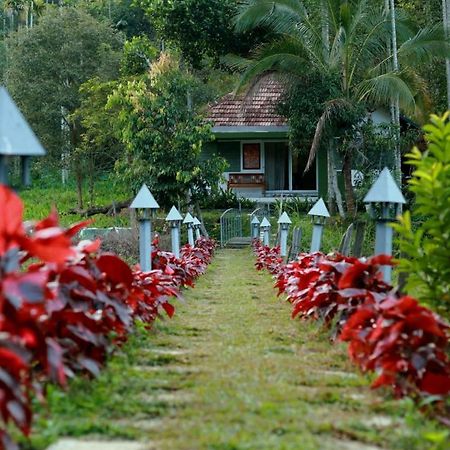 Ayurnest Pool Resort Wayanad Batheri Exterior foto