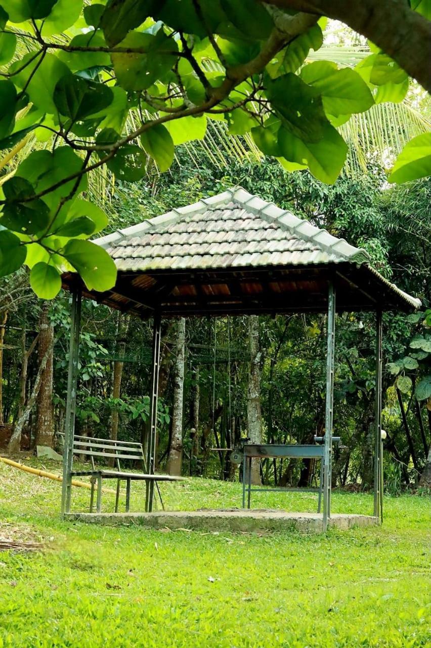 Ayurnest Pool Resort Wayanad Batheri Exterior foto