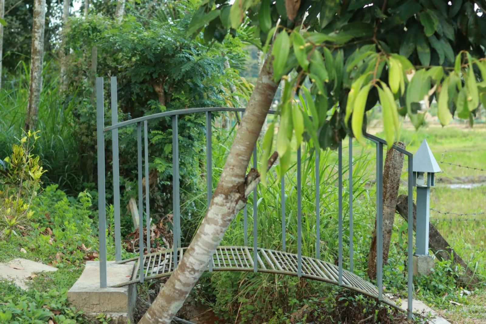 Ayurnest Pool Resort Wayanad Batheri Exterior foto